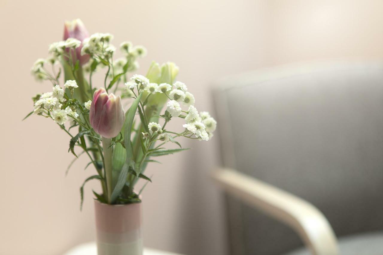 Zeleny Statek Apartment Bzova Luaran gambar