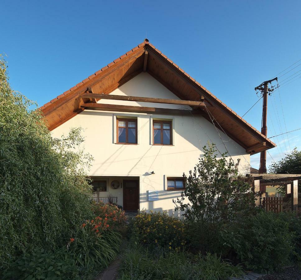 Zeleny Statek Apartment Bzova Luaran gambar